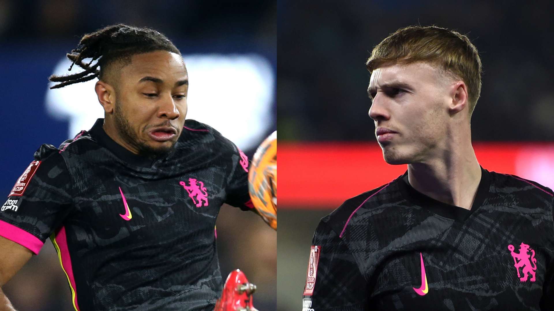 展现了非凡 展现了非凡