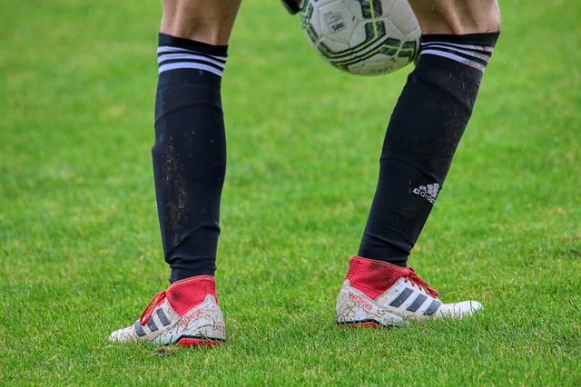 力和韧性 力和韧性