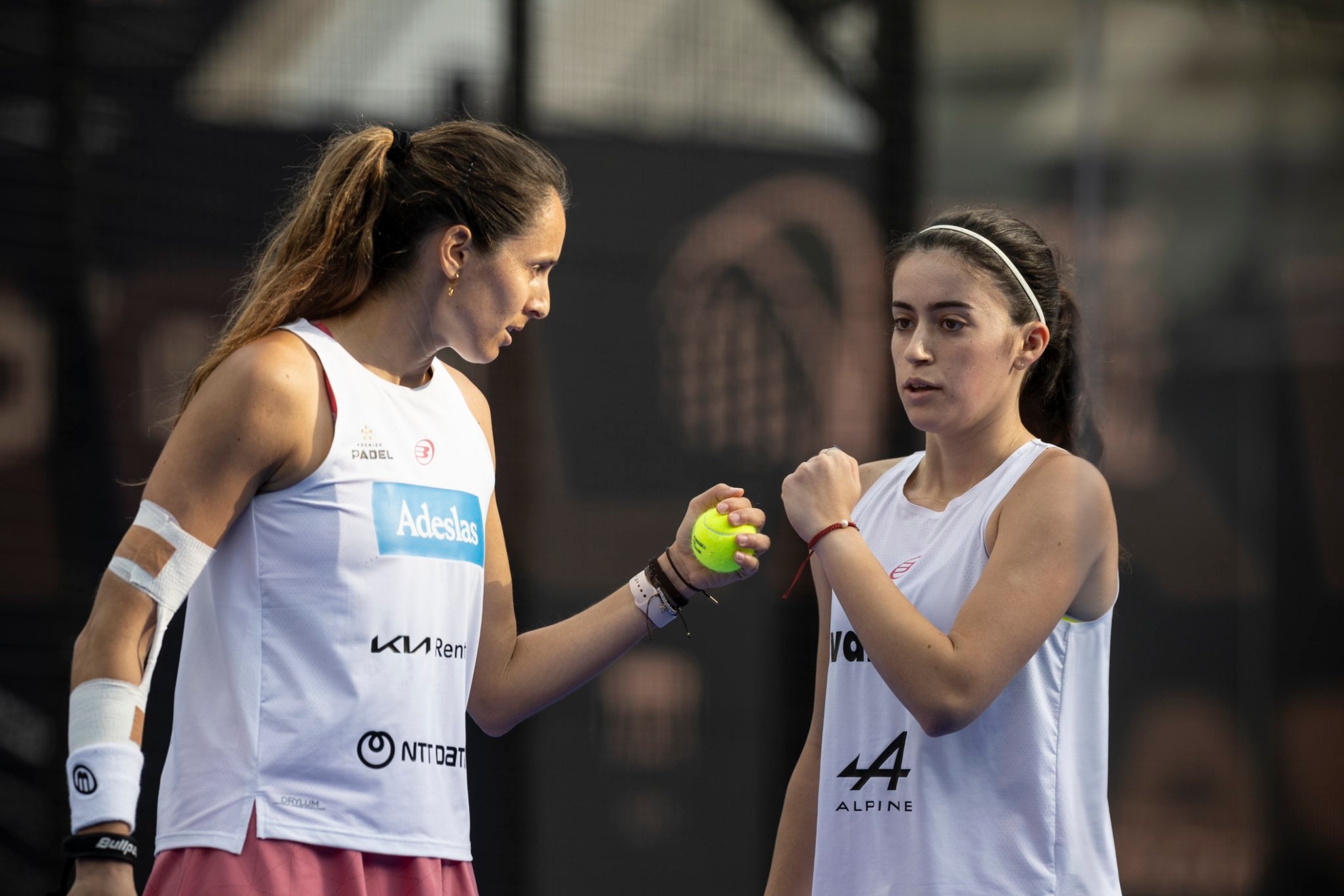 球队的整体 球队的整体