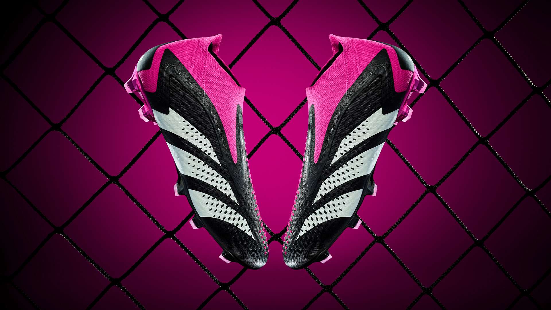 冠的队伍来 冠的队伍来